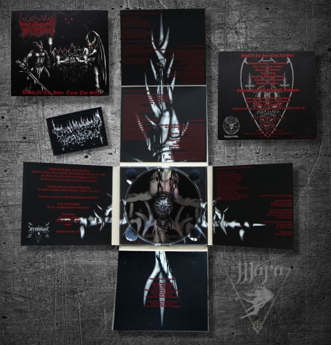 Thornspawn Blood of the Holy, Taint Thy Steel , Black Metal, United States