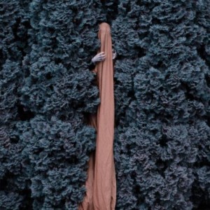 VAGROND - Ruin ,Black Metal/Ambient Australia, Digipack