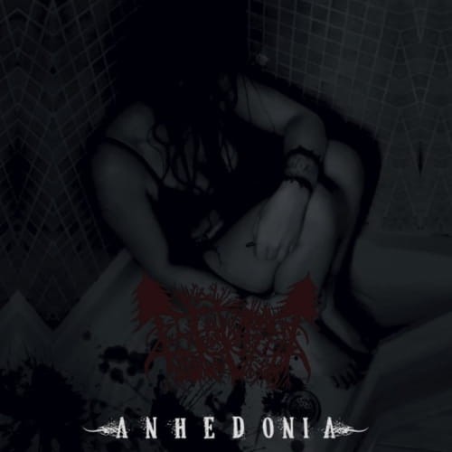 Lifeless - Anhedonia, Ambient/Depressive Black Metal , Digipack