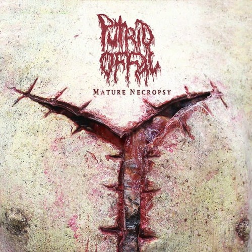 PutridOffalMatureNecropsy.jpg