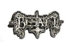 Official Besatt Pin 