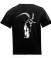 ANCIENT RITES  , T-SHIRT  Edition Limited