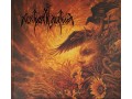 Exclusive Box Nokturnal Mortum , Digibook " Істина " + T-shirt, Poster, Photo cards signed